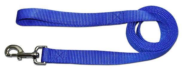 Leather Brothers One Ply Nylon Lead 1" x 6 ft. Blue
